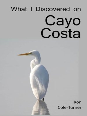 cover image of What I Discovered on Cayo Costa